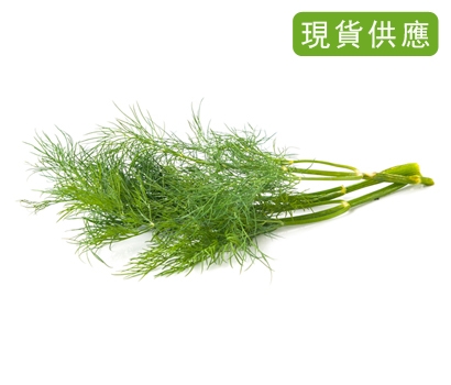 有機新鮮茴香 200公克